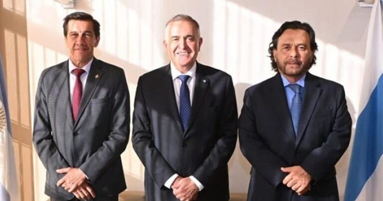 Aliados del NOA le dan la espalda a Milei en votación clave sobre emergencia en discapacidad