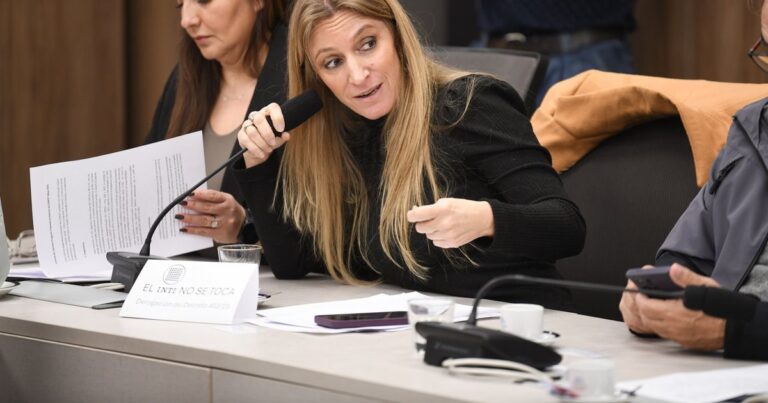 Cataratas en Twitter: Florencia Carignano desata tormenta en cierre de listas del PJ de Santa Fe