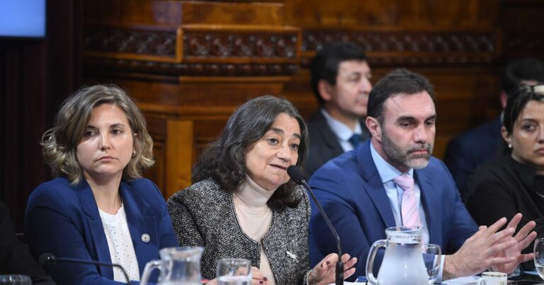 Garrahan y universidades: alistan sanciones con apoyo cruzado para ley de emergencia.