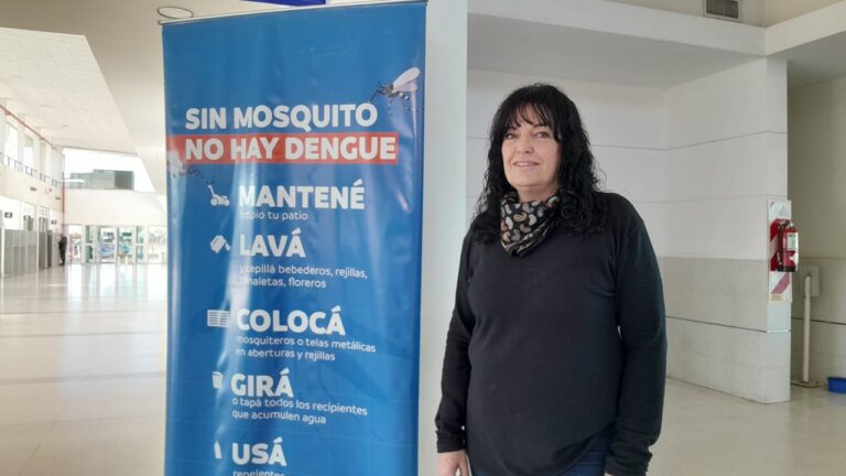 Lucha contra el Dengue: Reducción en países limítrofes y llamado a la acción.
