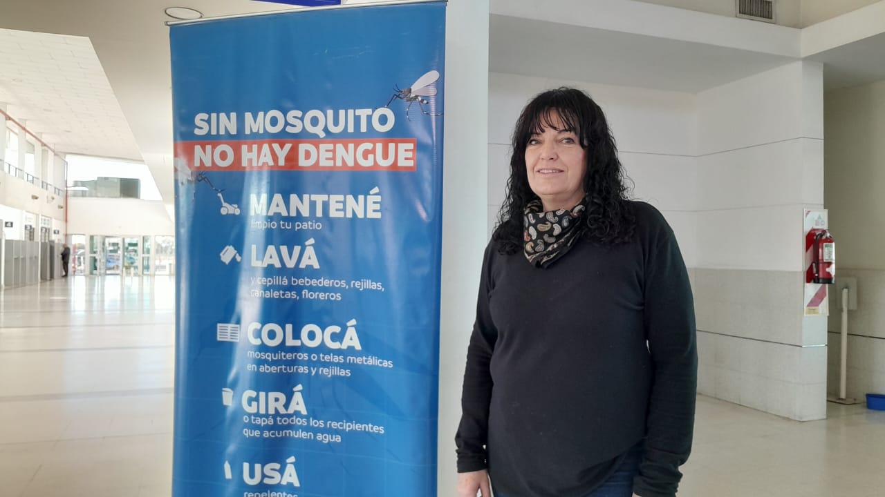 Lucha contra el Dengue: Reducción en países limítrofes y llamado a la acción.