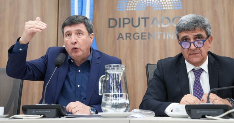 Oposición impulsa comisión investigadora por faltazo de Mario Lugones a Diputados. Avanzan acciones contra corrupción en ANDIS.