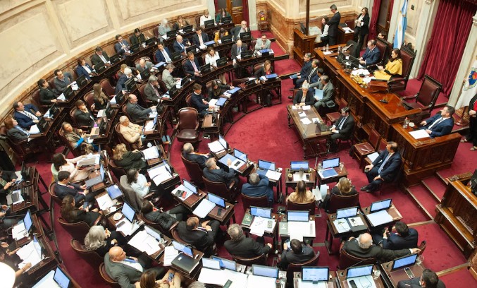 Senado sanciona declaración de emergencia pediátrica por un año. Prioridad en recursos y salario del personal de salud.