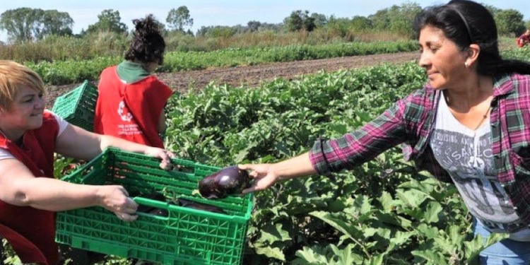 Volver a las raíces agrícolas: impulso municipal para granjas familiares en la región.