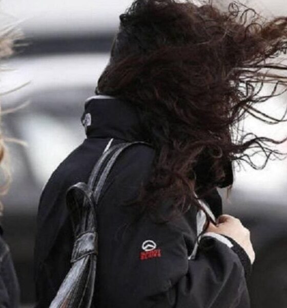 Alerta amarilla por viento y lluvias en Bahía Blanca hoy y mañana.