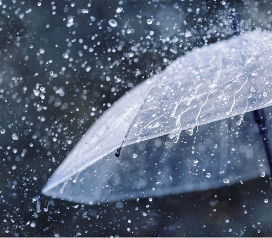 Alerta amarillo: lluvias y tormentas aisladas hoy, mejoras el sábado.