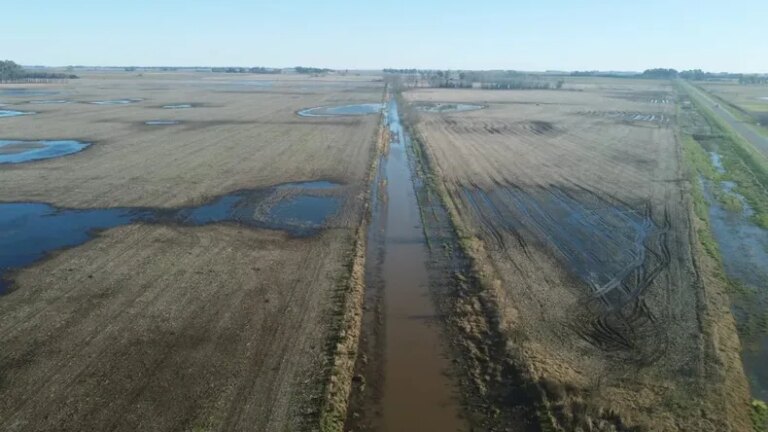 Alerta por tormenta de Santa Rosa: lluvias intensas y posibles inundaciones en regiones afectadas.