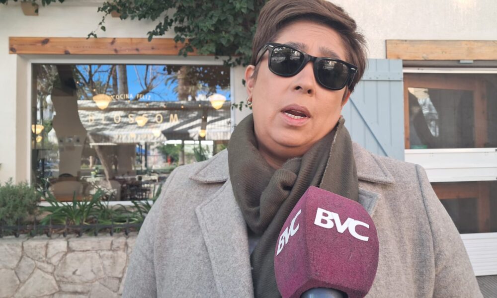 Apoyo total de la Cámara de Comerciantes de Bahía Blanca a medidas contra plaga de palomas