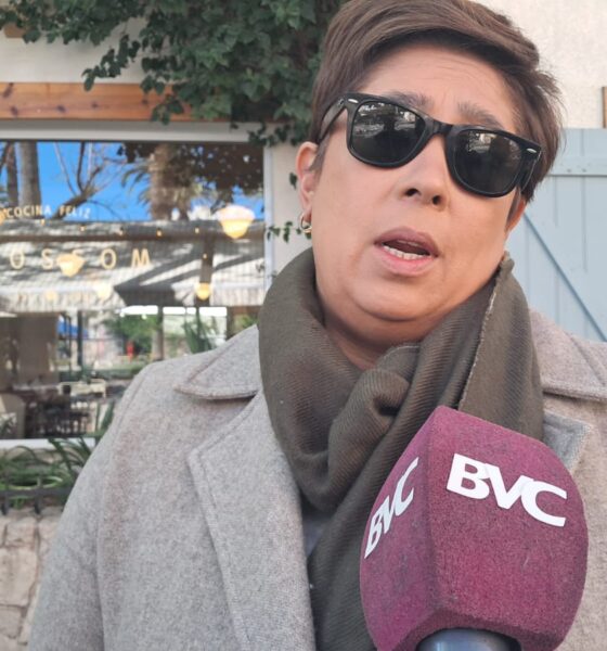 Apoyo total de la Cámara de Comerciantes de Bahía Blanca a medidas contra plaga de palomas