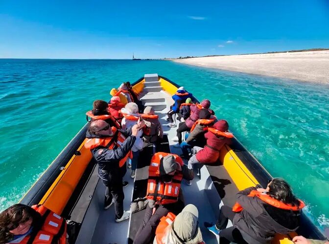 Avistaje de fauna marina: ¡Comienza la temporada en el Golfo San Matías!