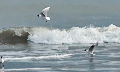 Clima inestable y lluvioso para este domingo de transición a la primavera en Monte Hermoso.