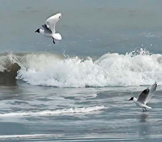 Clima inestable y lluvioso para este domingo de transición a la primavera en Monte Hermoso.