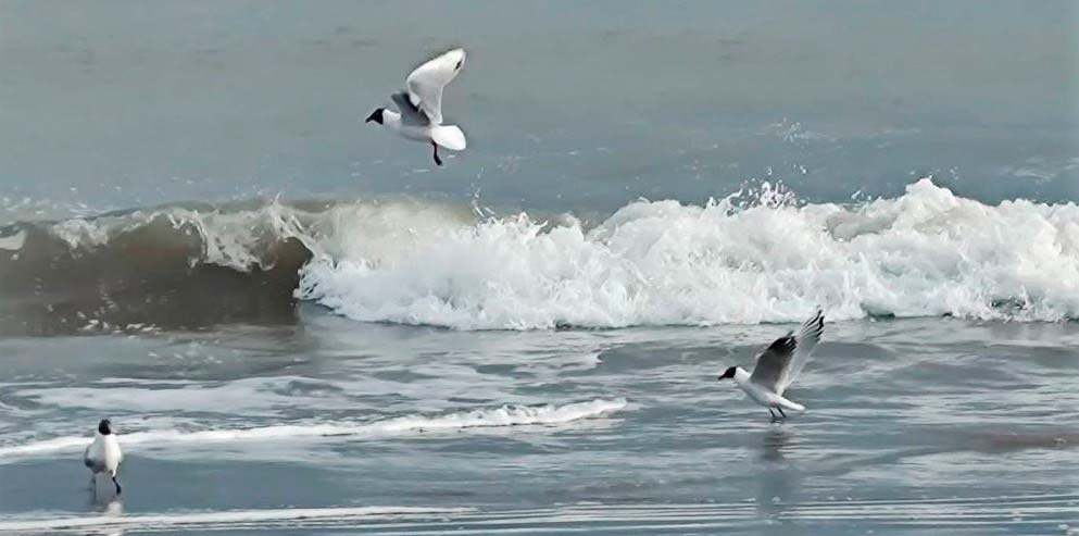 Clima inestable y lluvioso para este domingo de transición a la primavera en Monte Hermoso.