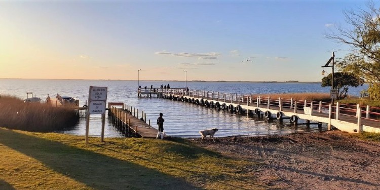 Comienza la veda del pejerrey en la Provincia de Buenos Aires: conoce las nuevas restricciones de pesca hasta diciembre.