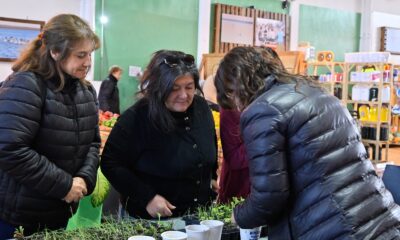 Disfruta del Mercado del Puerto y actividades para toda la familia este fin de semana.