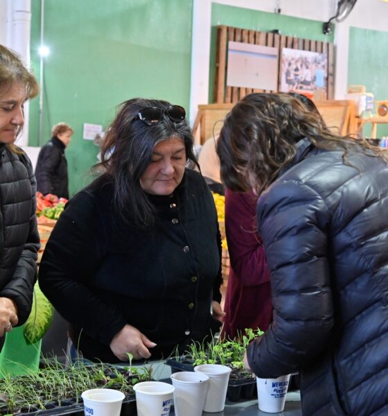 Disfruta del Mercado del Puerto y actividades para toda la familia este fin de semana.