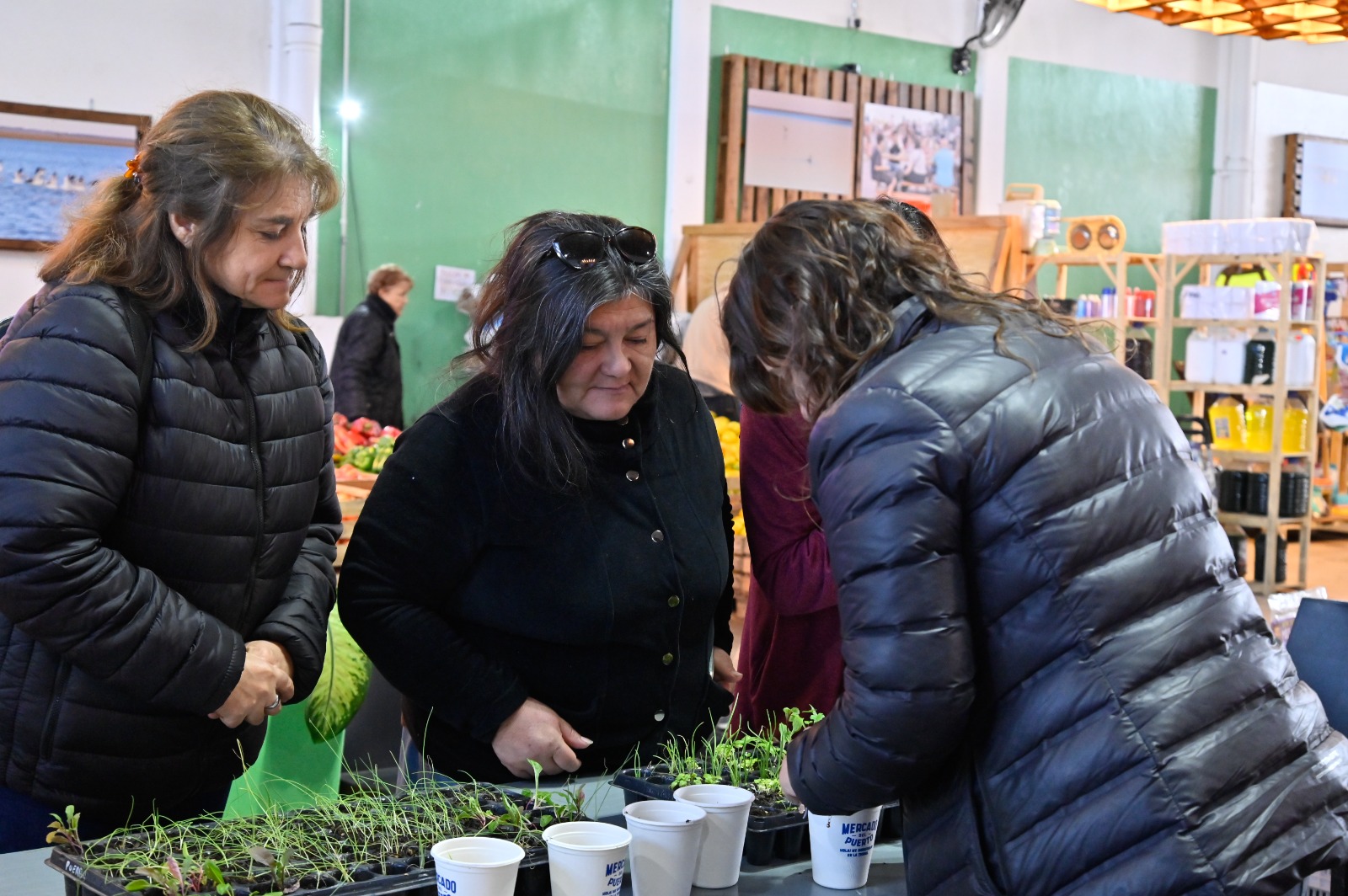 Disfruta del Mercado del Puerto y actividades para toda la familia este fin de semana.