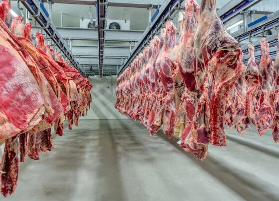 El Gobierno amplía quita de retenciones a carnes bovinas y avícolas para impulsar exportaciones y divisas.