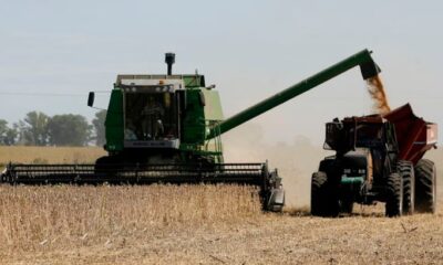 Gobierno elimina retenciones a granos hasta octubre para aumentar oferta de dólares
