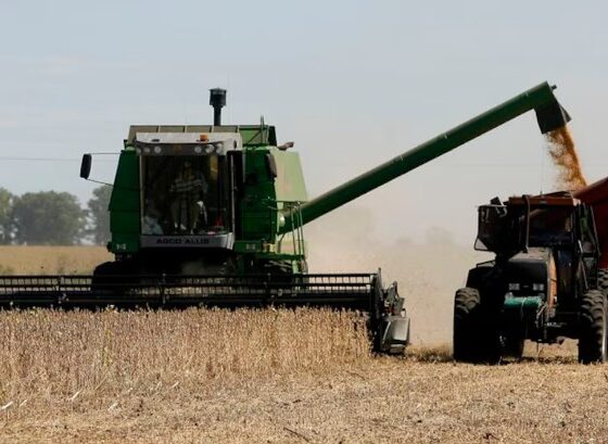 Gobierno elimina retenciones a granos hasta octubre para aumentar oferta de dólares