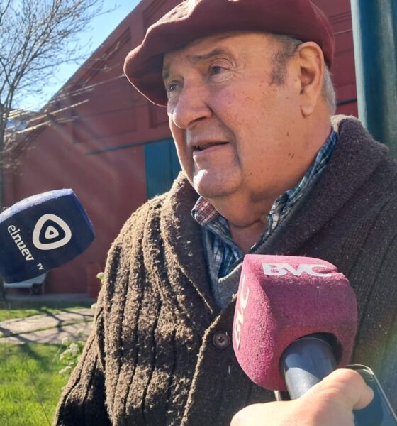 Gobierno nacional elimina retenciones a granos: medida busca aumentar oferta de dólares.