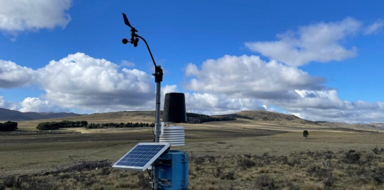 Impacto climático en campañas agrícolas del sudoeste bonaerense: análisis de lluvias y pronóstico para septiembre.