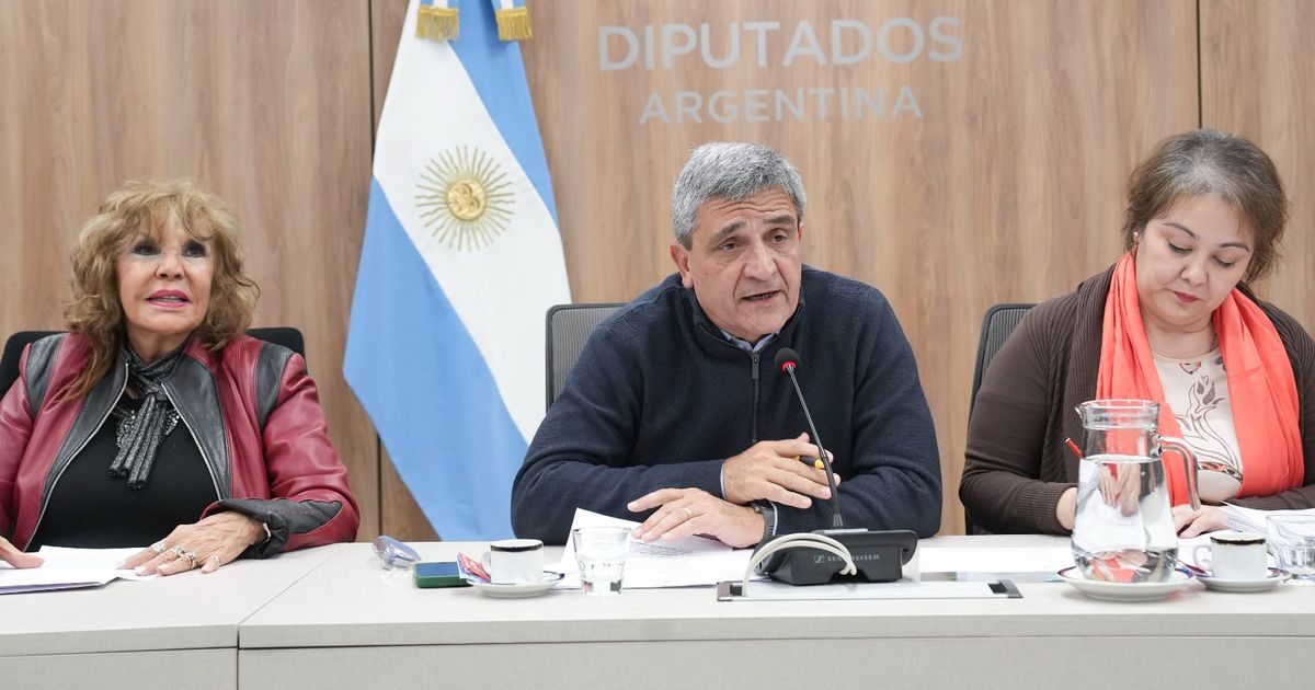 Interpelación a Karina Milei y Guillermo Francos: oposición avanza en el Congreso pese a obstáculos de La Libertad Avanza. Revisión de pensiones suspendidas en debate.