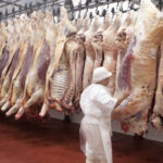 La Justicia frena resolución que permitía ingreso de carne en la Patagonia