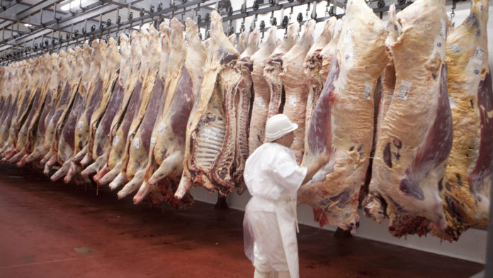 La Justicia frena resolución que permitía ingreso de carne en la Patagonia