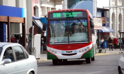 Presentarán ante proyecto de nuevas trazas para líneas de colectivo en Bahía Blanca.