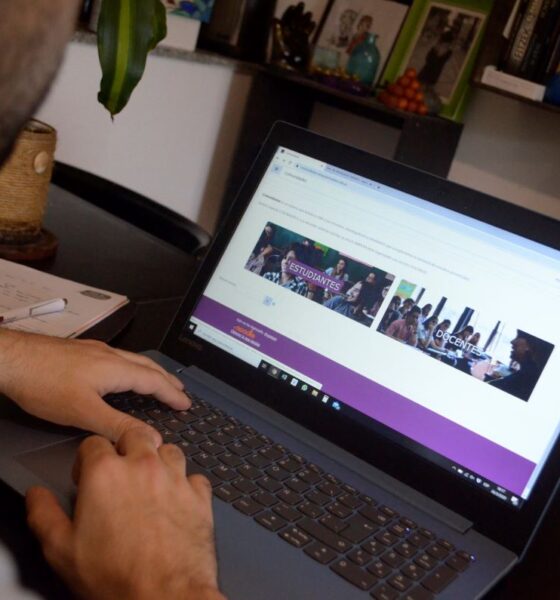 Universidad Nacional del Sur lanza nuevos cursos virtuales: ¡Capacitación docente y Gestión del Patrimonio en octubre!