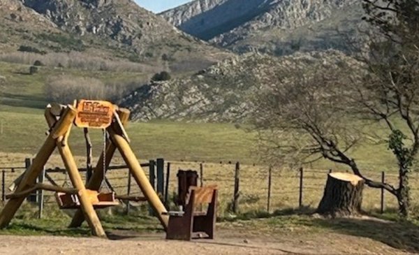 Vecinos de Tornquist exigen un plan de arbolado urgente para proteger el entorno natural.