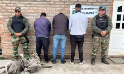 Aprehendidos tres hombres por caza furtiva con perros cerca de Bahía Blanca.