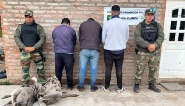 Aprehendidos tres hombres por caza furtiva con perros cerca de Bahía Blanca.
