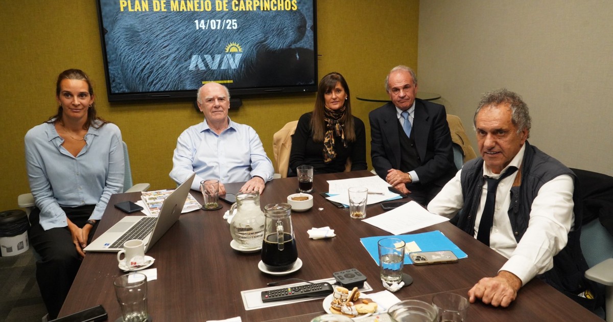 Derrota de Scioli: Juez prohíbe castrar a los carpinchos en Nordelta