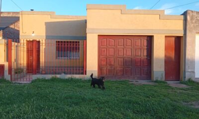 Detenido por agredir físicamente a su pareja y romper la puerta de la casa en Bahía Blanca.