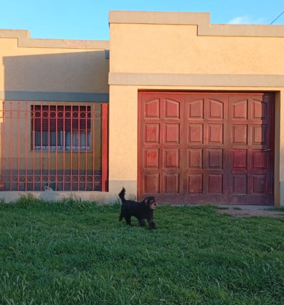Detenido por agredir físicamente a su pareja y romper la puerta de la casa en Bahía Blanca.
