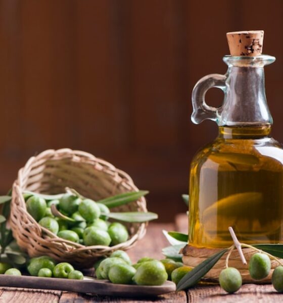 Olivo ciencia y salud jornadas que conectan el campo bonaerense con el sistema inmune