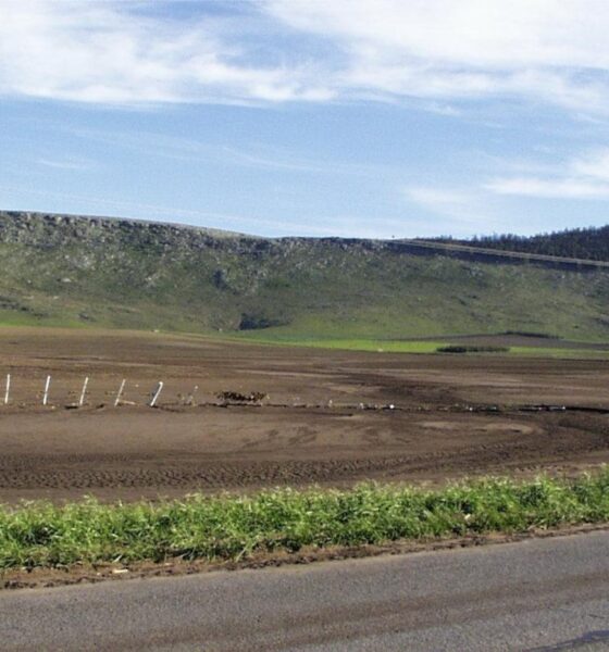 Ingenieros agrónomos presentan proyecto para proteger suelos de productores agrícolas