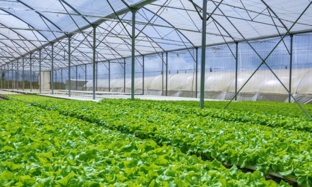 Casbas será sede del segundo encuentro para el desarrollo horticola regional