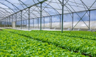 Casbas será sede del segundo encuentro para el desarrollo horticola regional