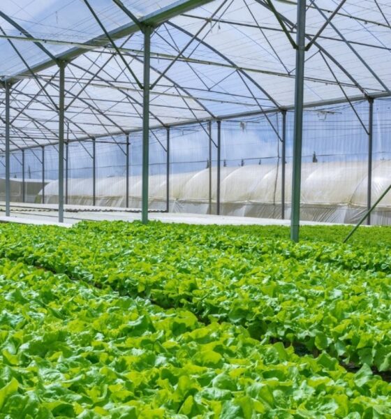 Casbas será sede del segundo encuentro para el desarrollo horticola regional