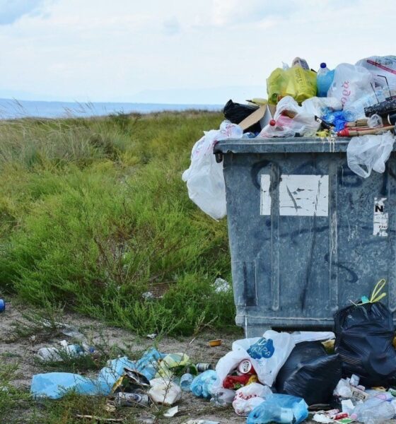 Coronel Dorrego impulsa una encuesta ambiental para el futuro del Sudoeste Bonaerense