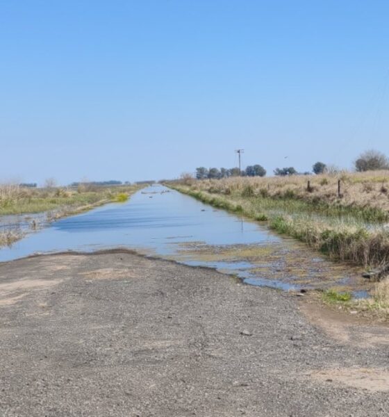 Alerta en Municipios el ajuste presupuestario nacional impacta en obra pública