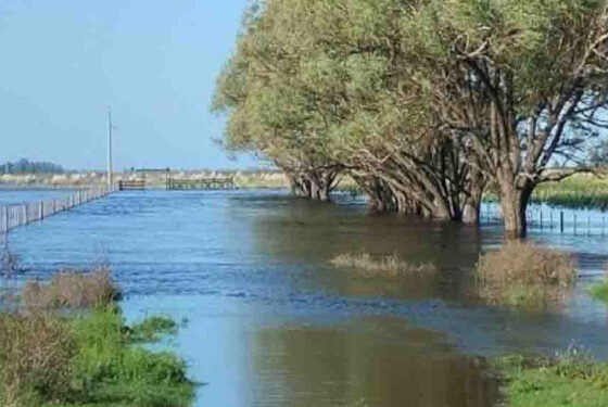 Impacto de las lluvias en el sur y sudoeste bonaerense sobre la agricultura