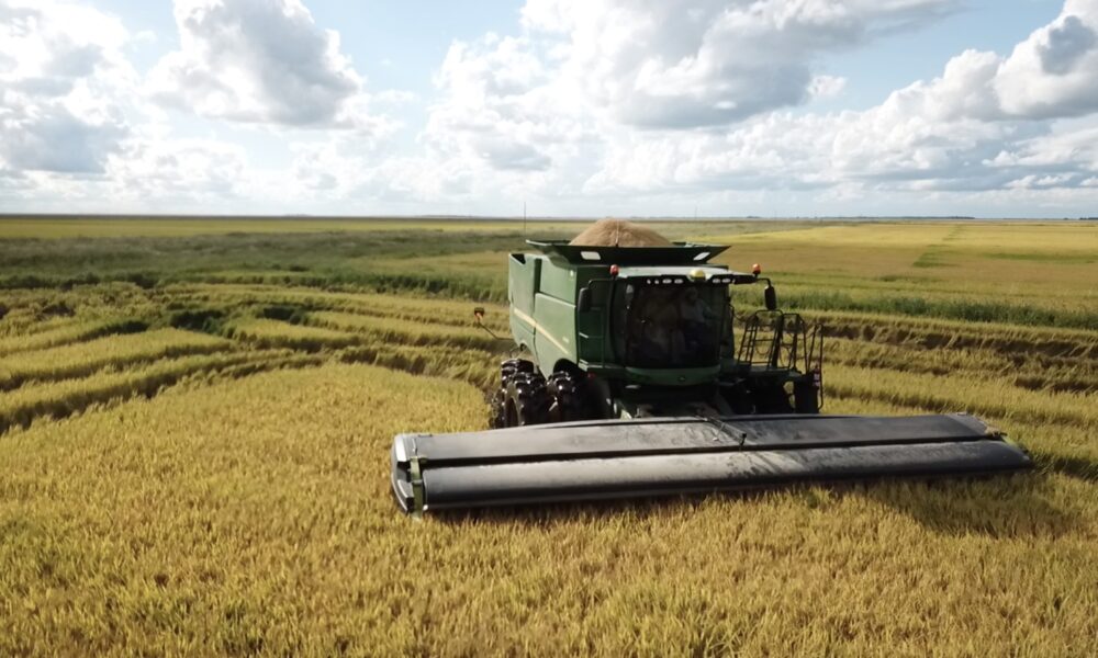 El impacto de impuestos en la renta agrícola y la inversión regional en Argentina