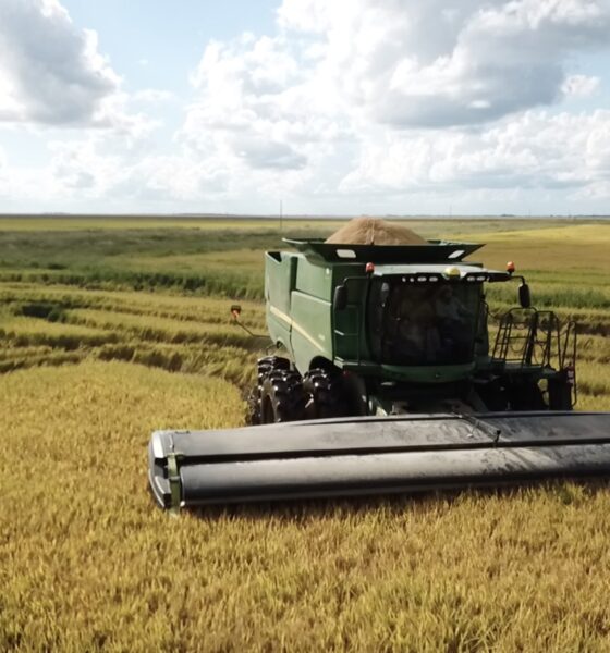 El impacto de impuestos en la renta agrícola y la inversión regional en Argentina