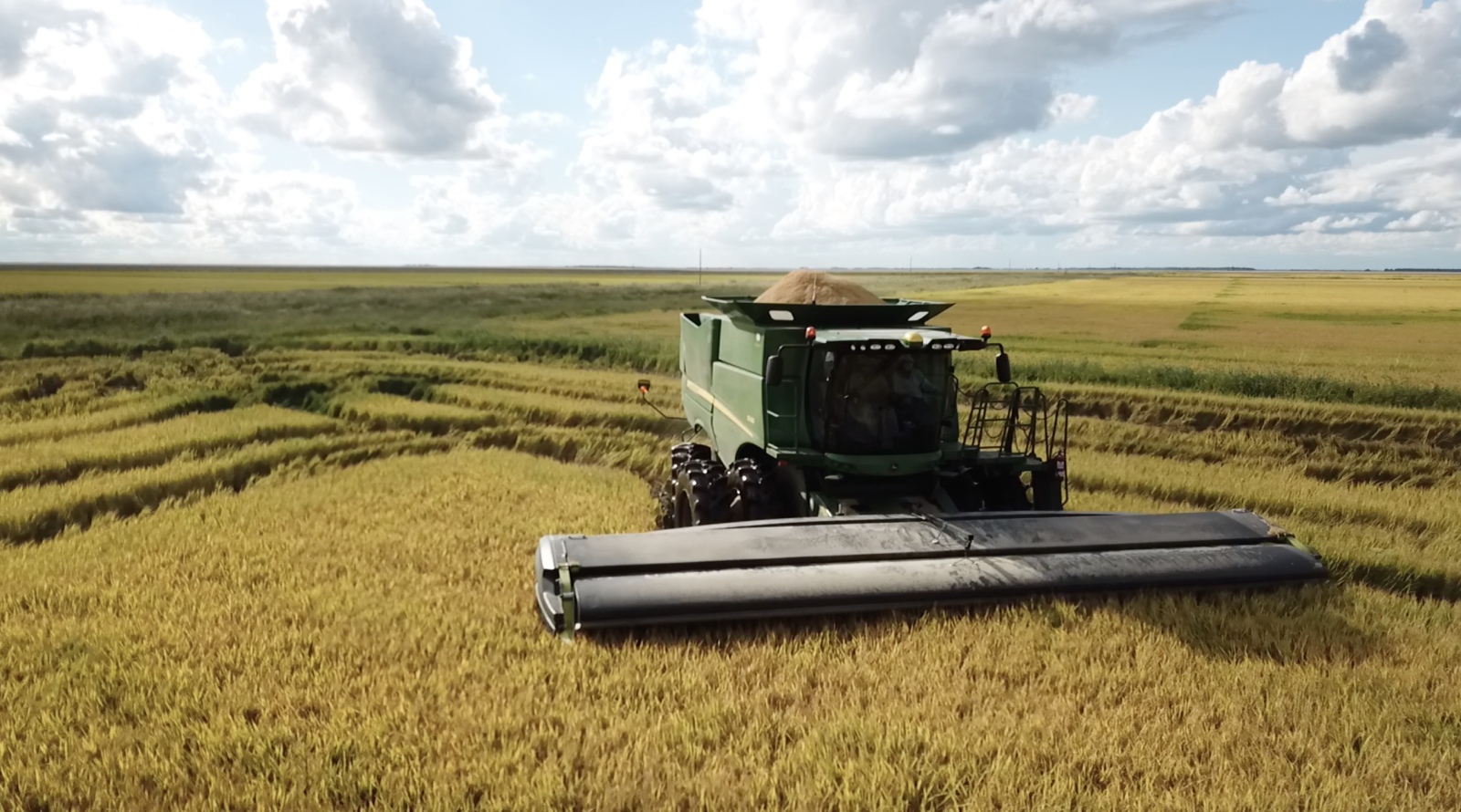 El impacto de impuestos en la renta agrícola y la inversión regional en Argentina