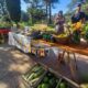 Puan recibe la Feria Itinerante de la Agricultura Familiar este 17 de octubre
