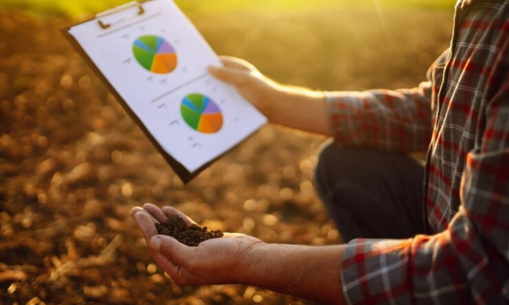 Informe de la Bolsa de Bahía Blanca: desafíos logísticos y costos en la siembra de gruesa 2025/2026